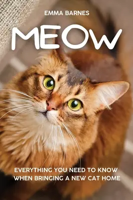 Mňau: Všetko, čo potrebujete vedieť, keď si domov priveziete novú mačku - Meow: Everything You Need to Know When Bringing a New Cat Home