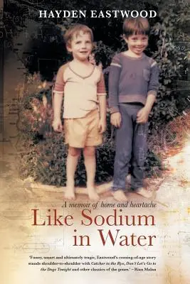 Ako sodík vo vode: Spomienky na domov a bolesť srdca - Like Sodium in Water: A memoir of home and heartache