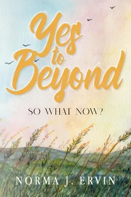 Áno až za hranice: A čo teraz? - Yes to Beyond: So What Now?