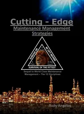 Najmodernejšie stratégie riadenia údržby: 12 disciplín: 3. a 4. disciplína riadenia údržby na svetovej úrovni - Cutting Edge Maintenance Management Strategies: 3rd and 4th Discipline on World Class Maintenance Management, The 12 Disciplines