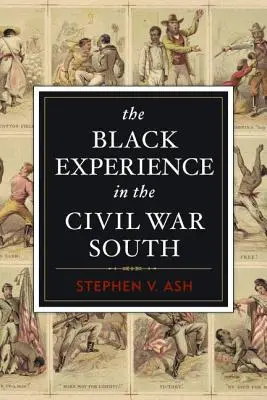 Skúsenosti černochov na juhu počas občianskej vojny - The Black Experience in the Civil War South