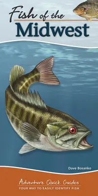 Ryby Stredozápadu: Vydajte sa na cestu k jednoduchej identifikácii rýb - Fish of the Midwest: Your Way to Easily Identify Fish