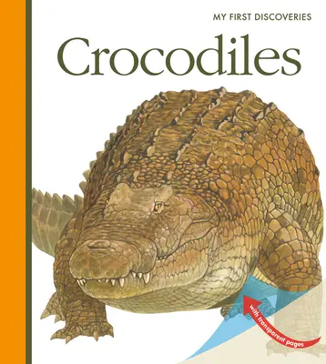 Krokodíly - Crocodiles