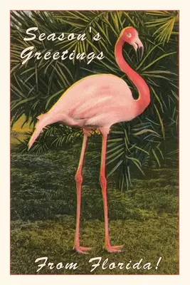 Vintage Journal Sezónne pozdravy z Floridy, Flamingo - Vintage Journal Season Greetings from Florida, Flamingo