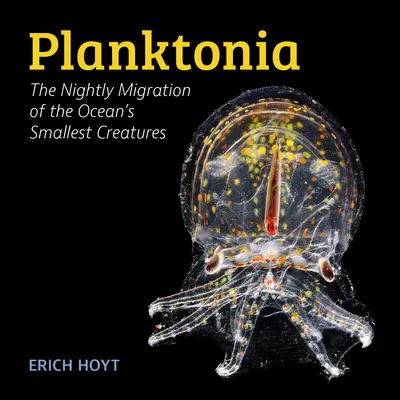 Planktonia: Nočná migrácia najmenších tvorov oceánu - Planktonia: The Nightly Migration of the Ocean's Smallest Creatures