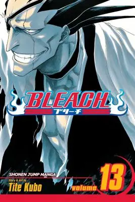 Bleach, zv. 13: zv. 13 - Bleach, Vol. 13: Volume 13