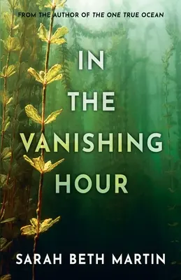 V hodine zmiznutia - In the Vanishing Hour