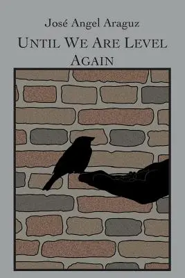 Kým nebudeme opäť na úrovni - Until We Are Level Again
