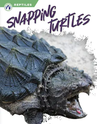 Chňapavé korytnačky - Snapping Turtles