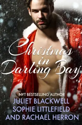 A Darling Bay Christmas: Tri srdcervúce prázdninové poviedky - A Darling Bay Christmas: Three Heartwarming Holiday Short Stories