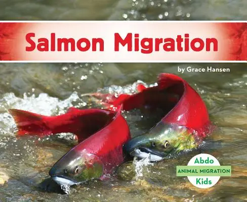 Migrácia lososov - Salmon Migration