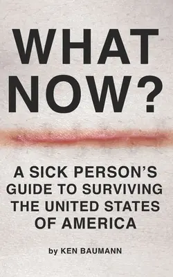 Čo teraz? Príručka pre chorého, ako prežiť v Spojených štátoch amerických - What Now?: A Sick Person's Guide to Surviving the United States of America