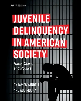 Kriminalita mladistvých v americkej spoločnosti: Rasa, trieda a politika - Juvenile Delinquency in American Society: Race, Class, and Politics