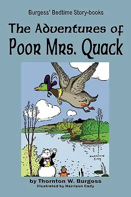 Dobrodružstvá úbohej pani Kvakovej - The Adventures of Poor Mrs. Quack