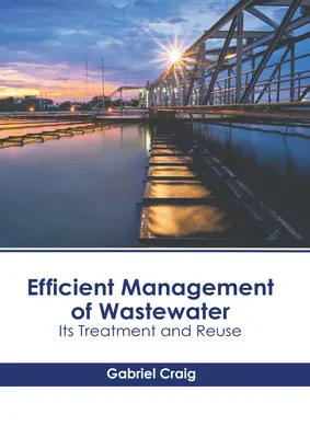 Efektívne riadenie odpadových vôd: Čistenie a opätovné využívanie odpadových vôd - Efficient Management of Wastewater: Its Treatment and Reuse