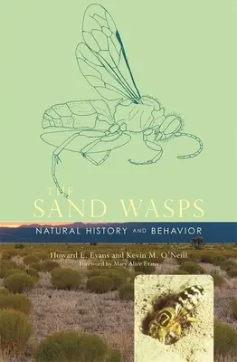 Pieskové osy: Prírodné dejiny a správanie - Sand Wasps: Natural History and Behavior