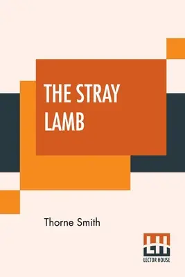 Zatúlané jahňa - The Stray Lamb
