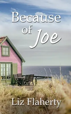 Kvôli Joeovi - Because of Joe