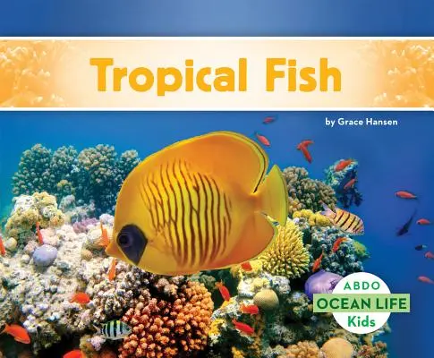 Tropické ryby - Tropical Fish