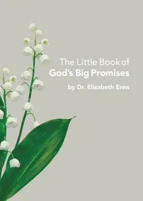 Malá kniha veľkých Božích prísľubov - The Little Book of God's Big Promises