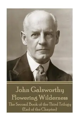 John Galsworthy - Rozkvitnutá divočina: (Koniec kapitoly): Druhá kniha tretej trilógie - John Galsworthy - Flowering Wilderness: The Second Book of the Third Trilogy (End of the Chapter)