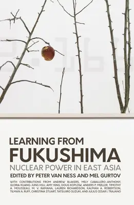 Poučenie z Fukušimy: Jadrová energia vo východnej Ázii - Learning from Fukushima: Nuclear power in East Asia