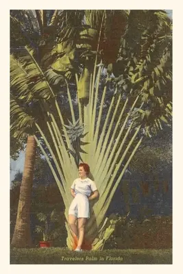 Vintage Journal Cestovateľská palma, Florida - Vintage Journal Travelers Palm, Florida