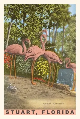 Vintage Journal Plameniaci - Vintage Journal Flamingos