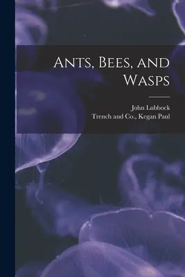 Mravce, včely a osy - Ants, Bees, and Wasps