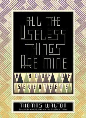 Všetky zbytočné veci sú moje: Kniha sedemnástich rokov - All the Useless Things Are Mine: A Book of Seventeens