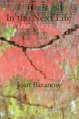 V ďalšom živote - In the Next Life