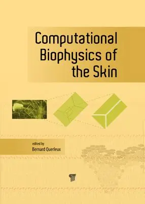 Výpočtová biofyzika kože - Computational Biophysics of the Skin