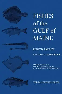 Ryby zálivu Maine: Rybársky bulletin 74 - Fishes of the Gulf of Maine: Fishery Bulletin 74