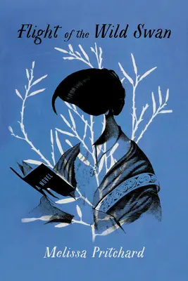 Let divokej labute - Flight of the Wild Swan
