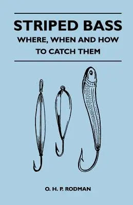 Pruhovaný okoun - kde, kedy a ako ho chytiť - Striped Bass - Where, When and How to Catch Them