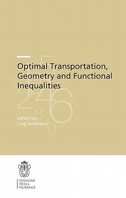 Optimálna doprava, geometria a funkčné nerovnosti - Optimal Transportation, Geometry and Functional Inequalities