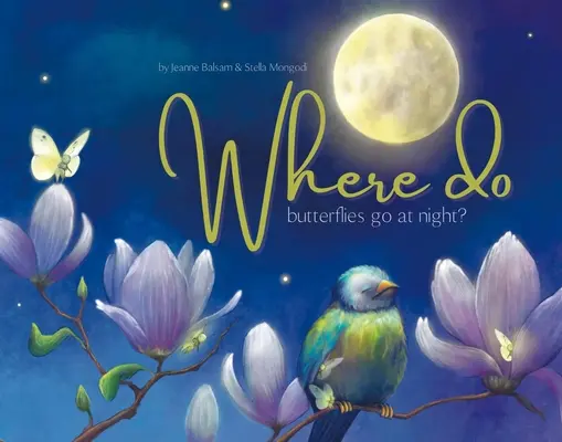 Kam chodia motýle v noci? - Where Do Butterflies Go at Night?