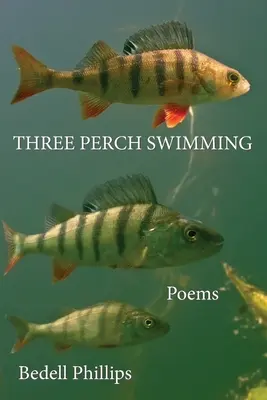 Tri ostrieže na plávanie - Three Perch Swimming