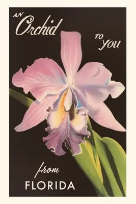 Vintage Journal Orchidea z Floridy - Vintage Journal An Orchid from Florida