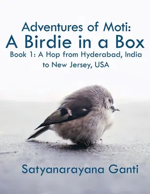 Adventures of Moti: A Birdie in a Box: Kniha 1: Na skok z Hajdarábádu v Indii do New Jersey v USA - Adventures of Moti: A Birdie in a Box: Book 1: A Hop from Hyderabad, India to New Jersey, USA