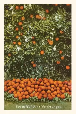 Vintage Journal Pomaranče, Florida - Vintage Journal Oranges, Florida