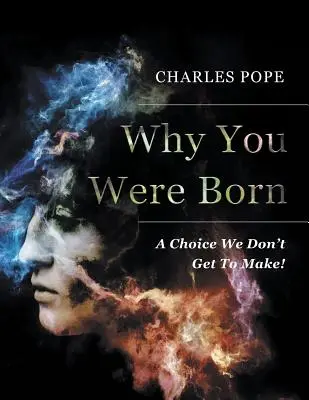 Prečo ste sa narodili: Voľba, ktorú nemáme možnosť urobiť! - Why You Were Born: A Choice We Don't Get To Make!