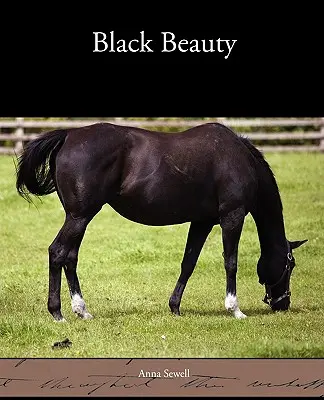Čierna kráska - Black Beauty