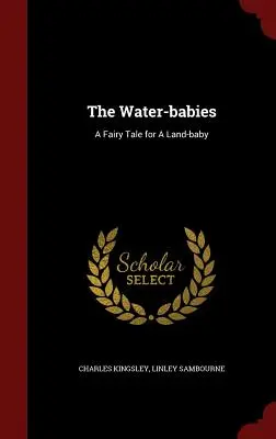 Vodné bábätká: Rozprávka pre suchozemské bábätko - The Water-babies: A Fairy Tale for A Land-baby