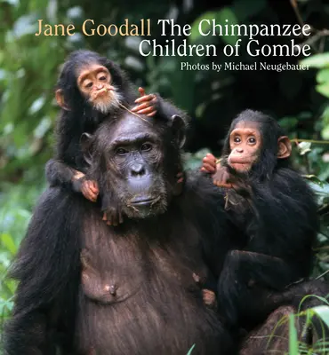Šimpanzie deti z Gombe - Chimpanzee Children of Gombe