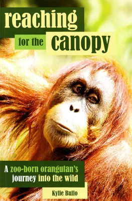 Reaching for the Canopy: A Zoo-Born Orangutan's Journey Back to the Wild (Dosiahnutie koruny stromu: Cesta orangutana narodeného v zoo späť do divočiny) - Reaching for the Canopy: A Zoo-Born Orangutan's Journey Back to the Wild