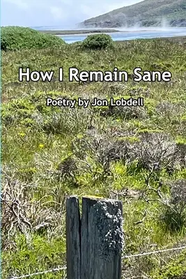 Ako som si zachoval zdravý rozum - How I Remain Sane