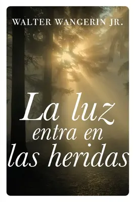 luz entra en las heridas mäkký obal Rany sú tam, kde vstupuje svetlo - luz entra en las heridas Softcover Wounds Are Where Light Enters