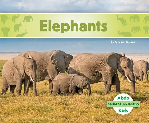 Slony - Elephants