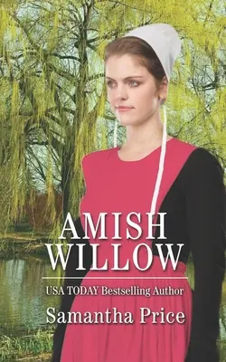 Amish Willow: Amišská romanca - Amish Willow: Amish Romance